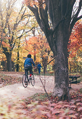 Evolution of The East